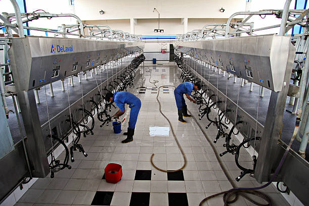 Food Production Cleaning Services